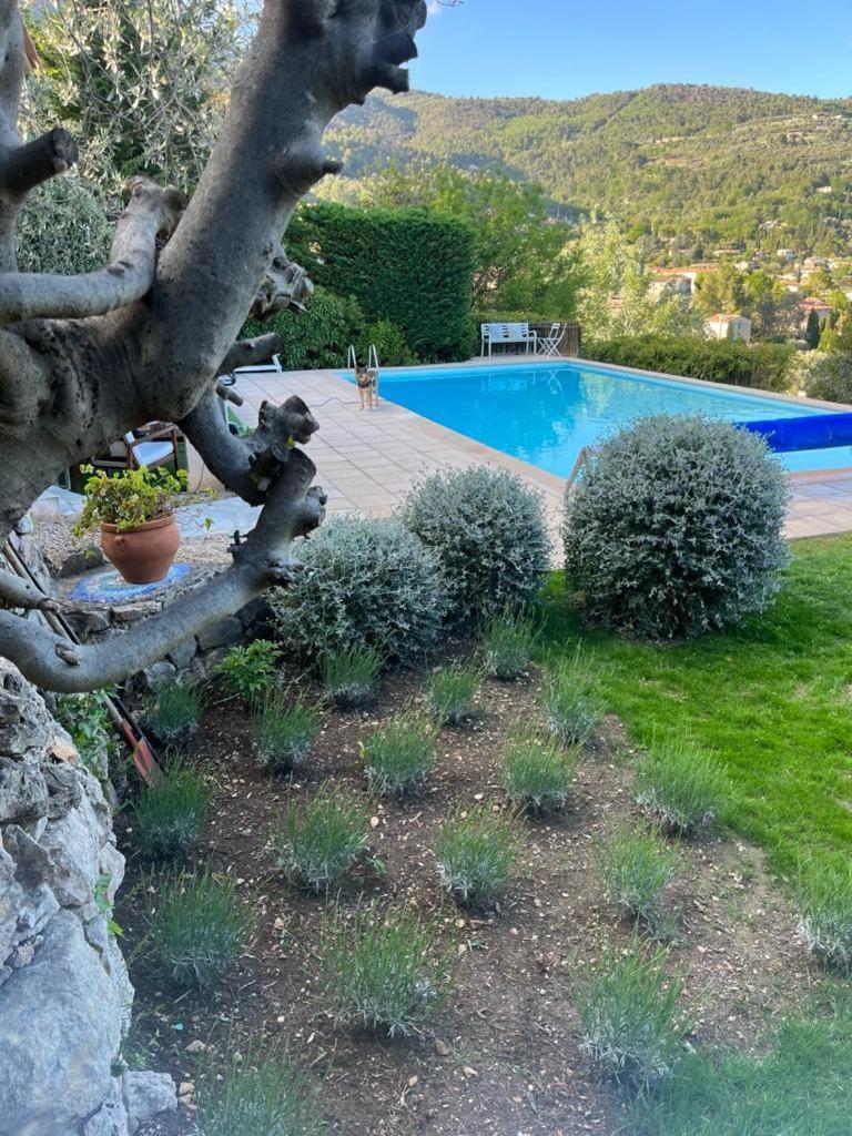Villa Magnolia Seillans Eksteriør bilde