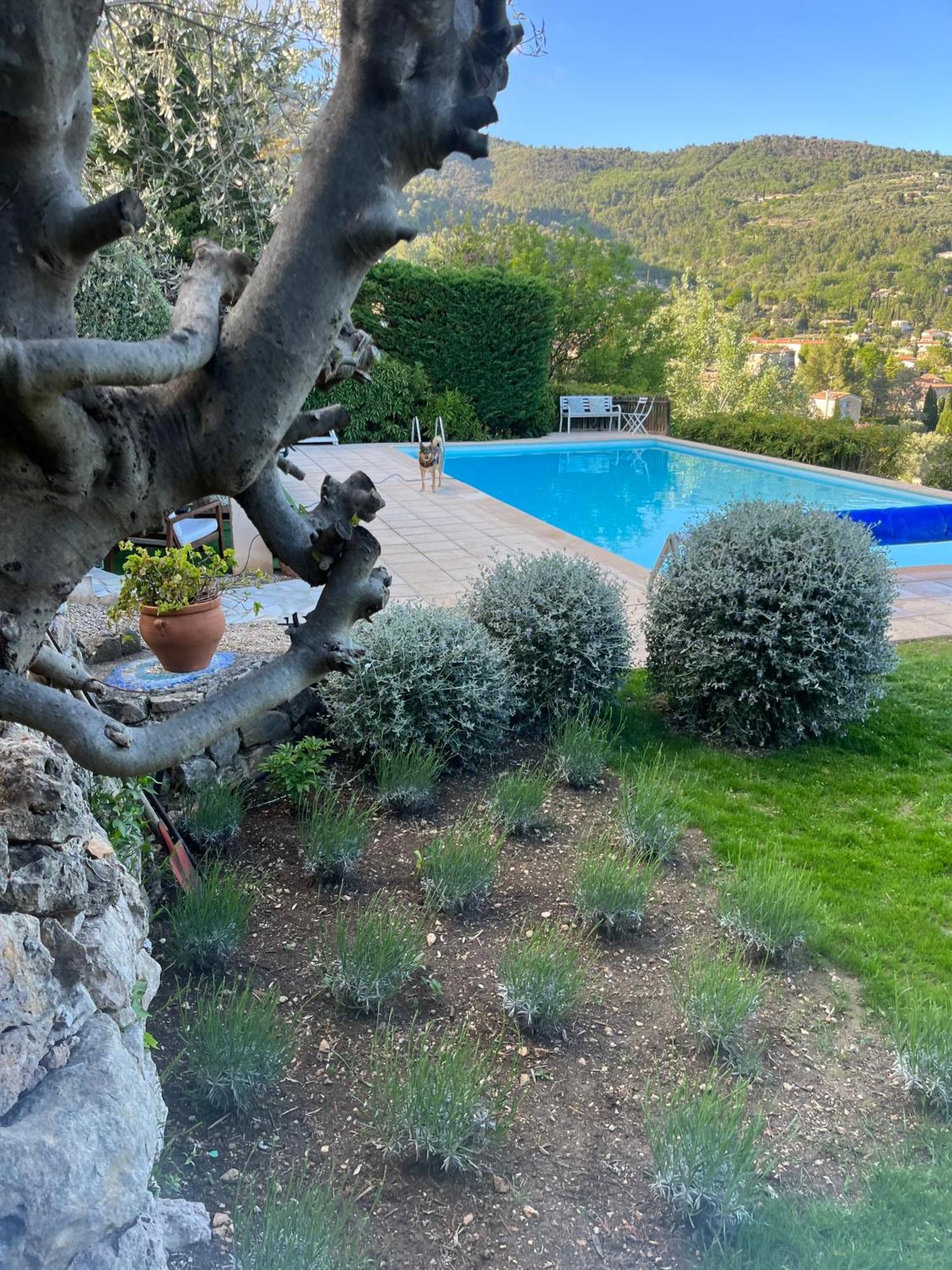 Villa Magnolia Seillans Eksteriør bilde